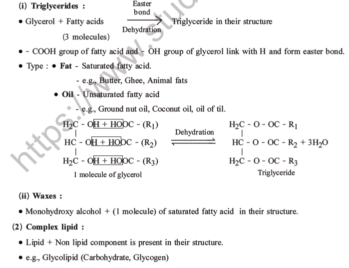NEET Biology Biomolecules MCQs Set C, Multiple Choice Questions